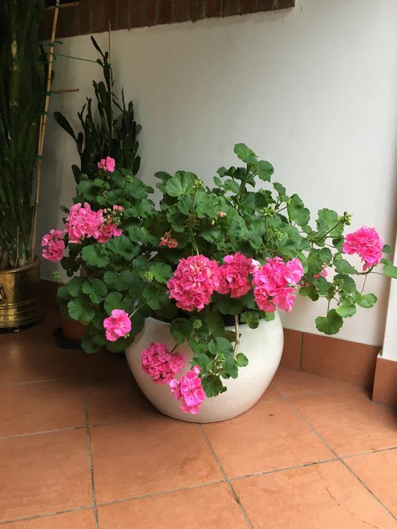 Agriturismo Da Ninoti Τρεβίζο Εξωτερικό φωτογραφία